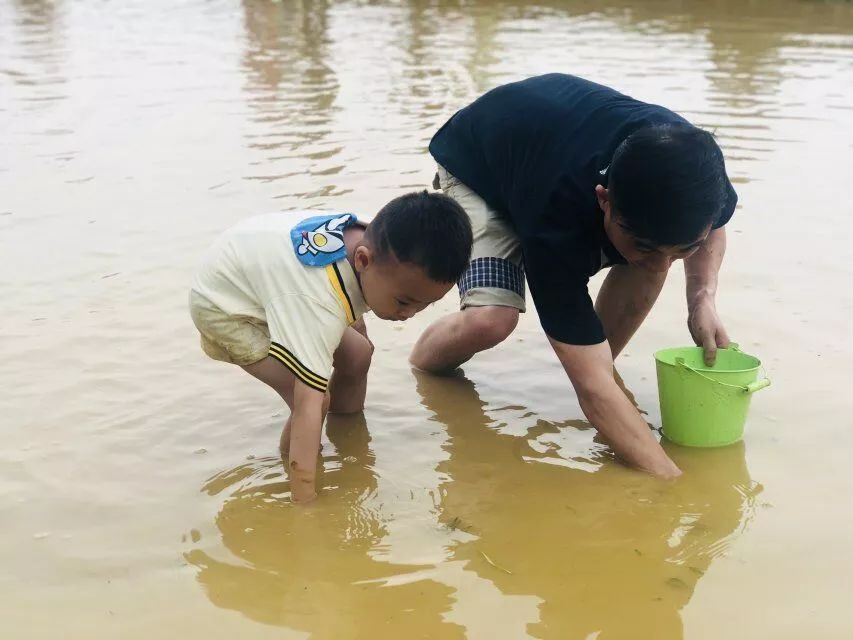 着肥美的鱼儿,挽起裤脚,摸鱼去咯~爸爸妈妈小时候,没少下水摸鱼抓虾吧