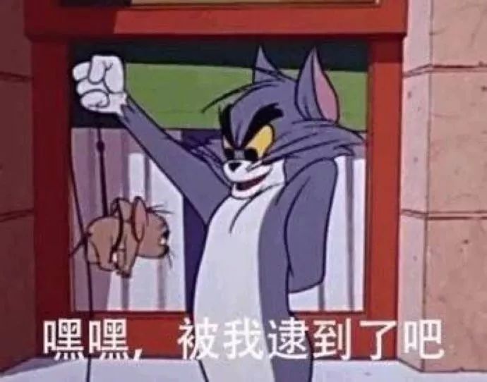 9e47ca54497846c3ac457ed45e3e8e14.jpeg