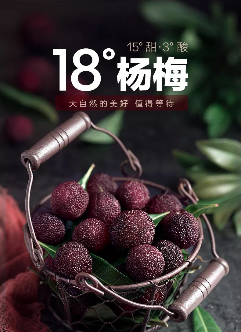 a4cc2295950d43fda3c1a2a1b345fb34.jpeg