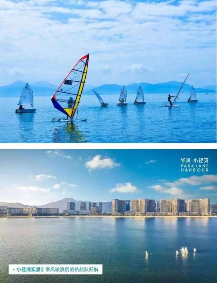 帆船帆板,迎风启航,白帆点点 似是白天鹅在水面上优雅地浮游