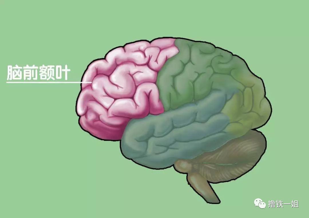 b47ce9ceda4049a7950e36cf02141432.jpeg
