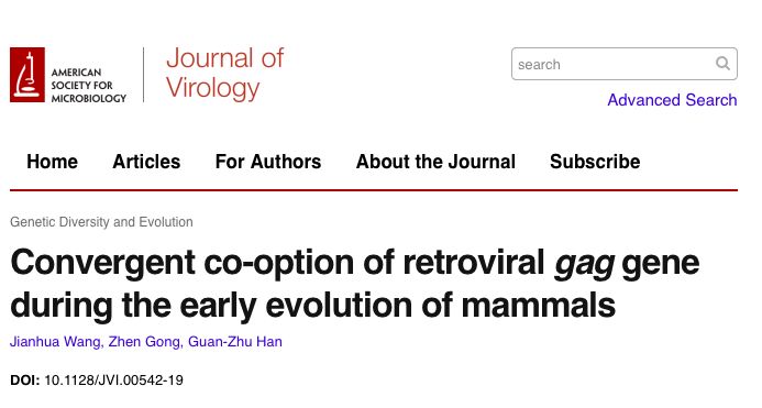 J Virol 南京师范大学韩管助课题在内源性逆转录病毒进化研究取得重要进展wcs