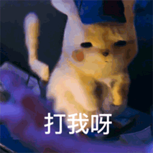 皮卡丘动态表情包 [一组萌系gif大侦探皮卡丘动图]  全球首部真人