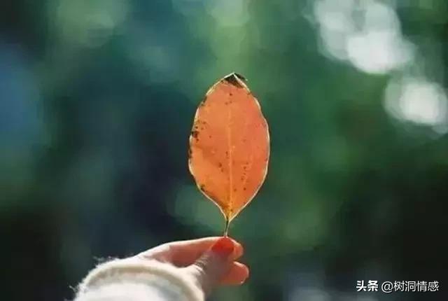 底线!(经典)