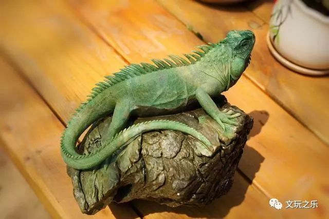 这个蜥蜴雕刻的神了,不说还以为是只真的变色龙,太灵动了!