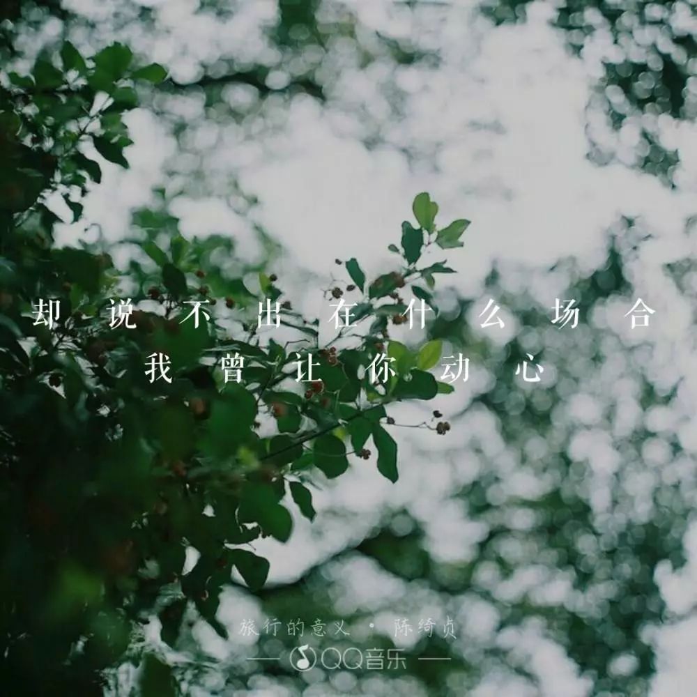 旅行的意义是什么?每个人的答案都不一样.
