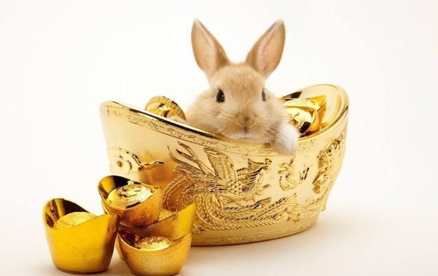 2019年3生肖不得了,运势接连走高,往后想不发都难 婷婷五点开心六点丁