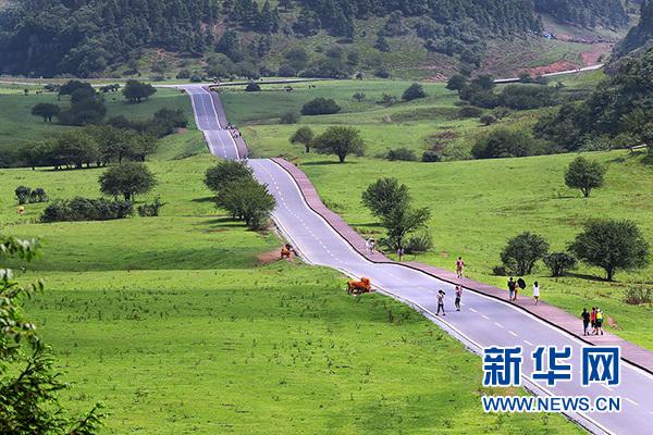 旅游|重庆武隆仙女山入选第二届"中国最美森林"