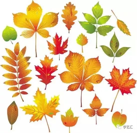 树是什么颜色什么形状 e07bf039468f4d33abf75edf28a682b0.jpeg