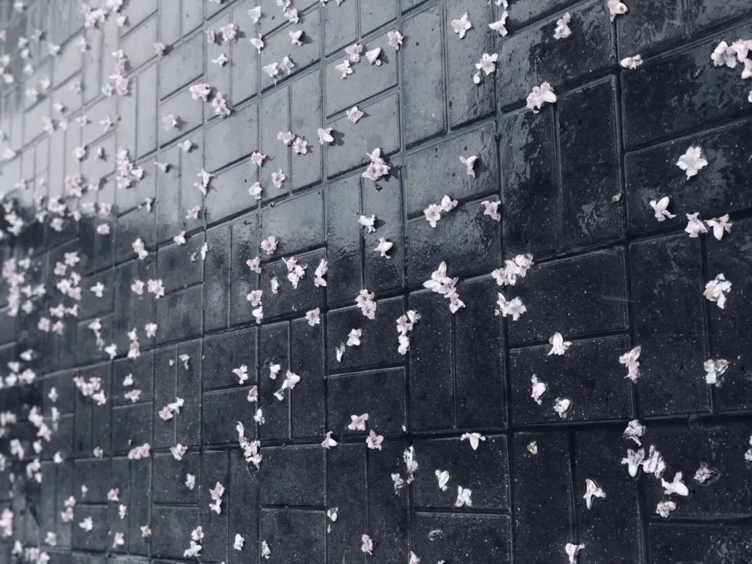 龚鹏程|书生经世有奇哀