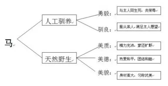 摘录提纲式板书:指按教学内容,用课文中的重点词语,编排出书写的提纲.