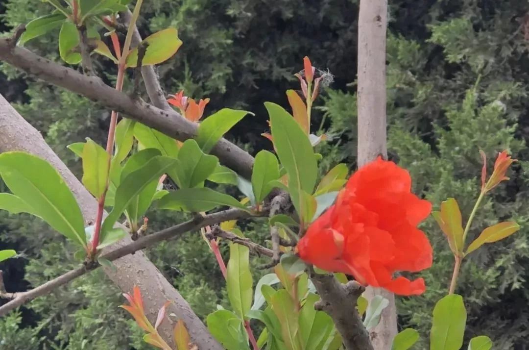 比赢在起跑线更重要的,是父母做到这一点 bt365网址