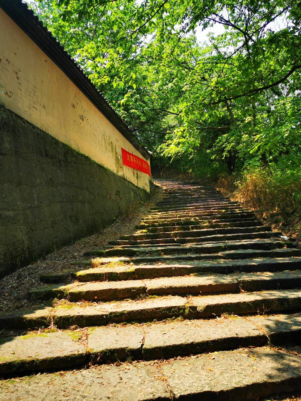 杭州有座寺庙与灵隐,法华并称"杭州城郊三大寺",就在小和山上