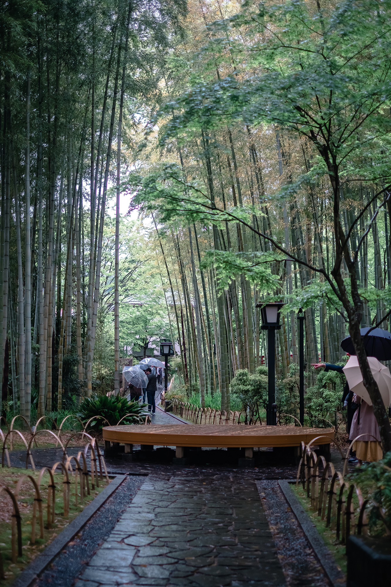 原创             日本小众旅行地，修善寺古朴安静的温泉小镇