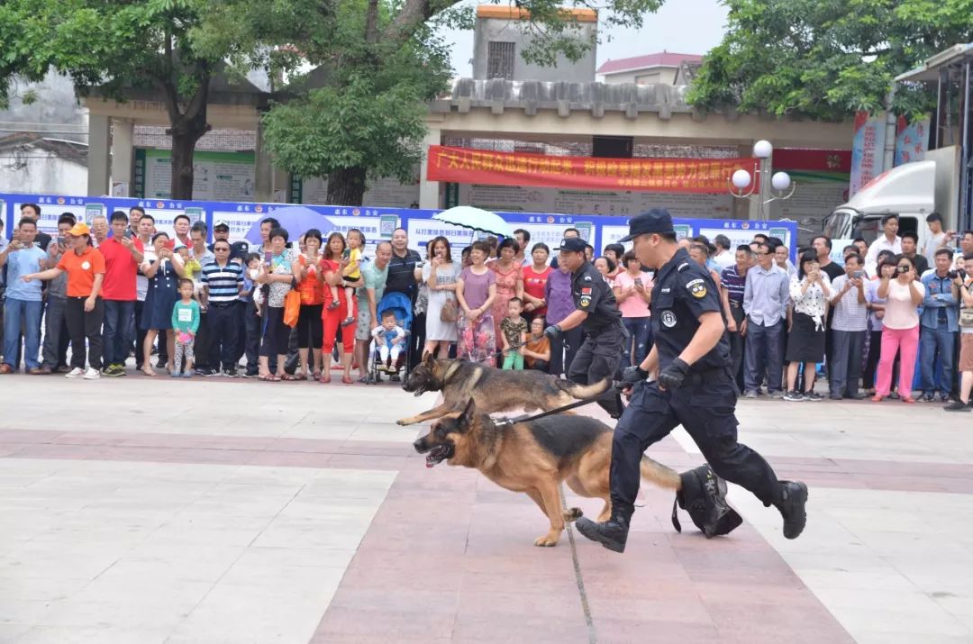 怎么回事?惠东这里集聚大批特警,现场还有警犬,大型装备车