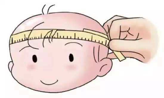                     孩子头型暗示了将来的身高，家长别不信，这种头型的孩子矮不了
