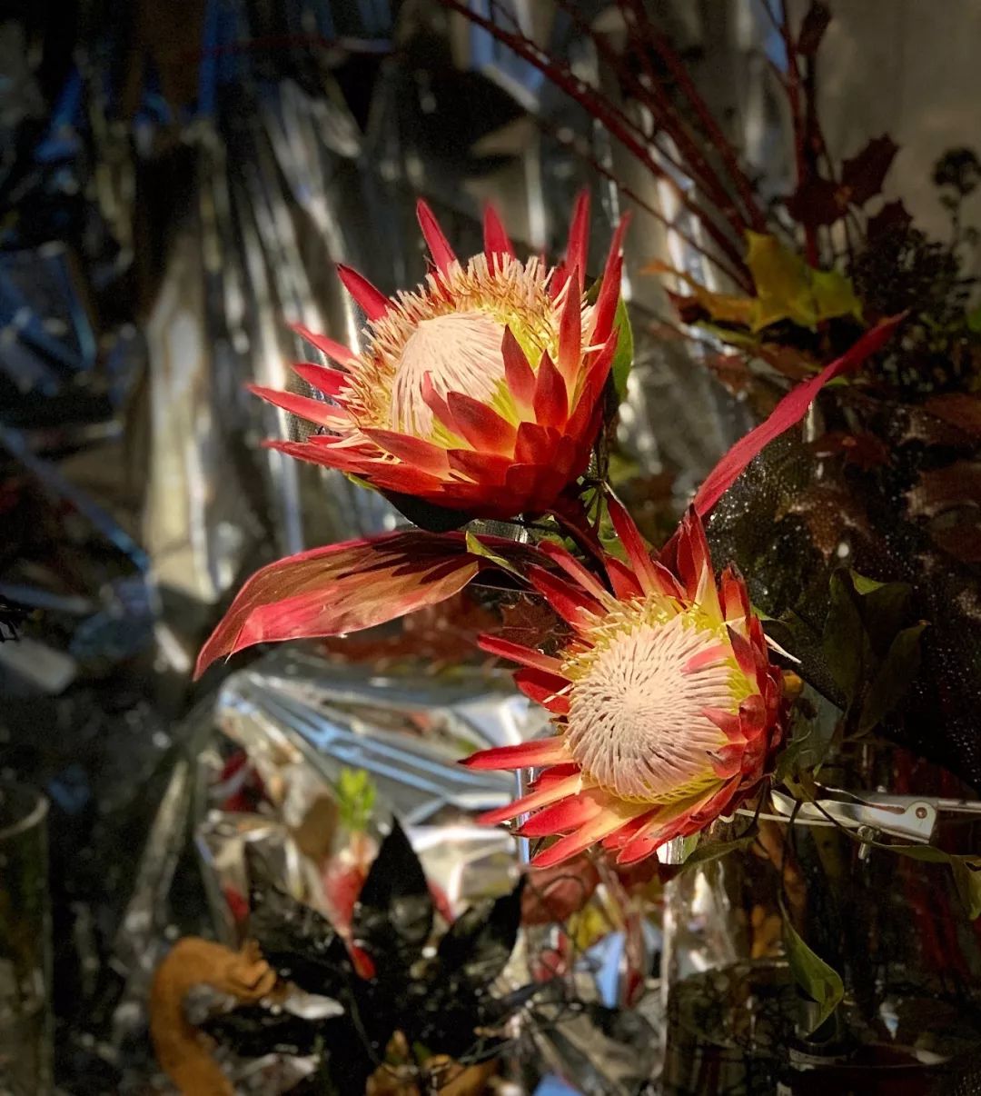 5月17日,周五,Dancehall+南部说唱+另类Club:O