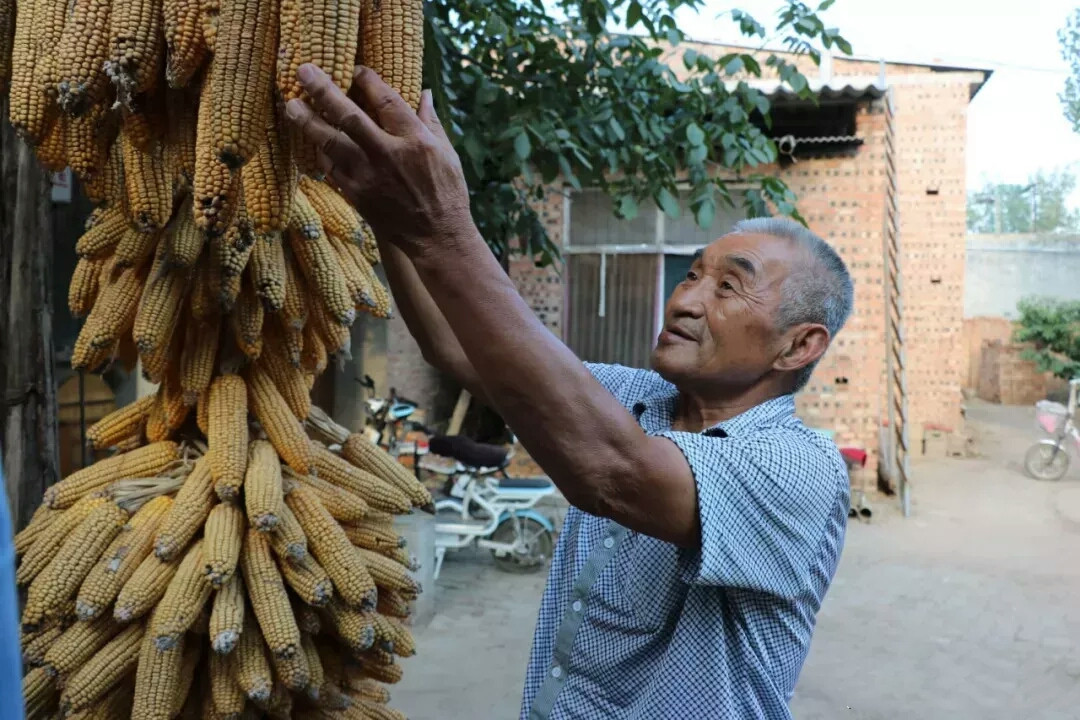 驼色大衣围巾颜色怎么搭