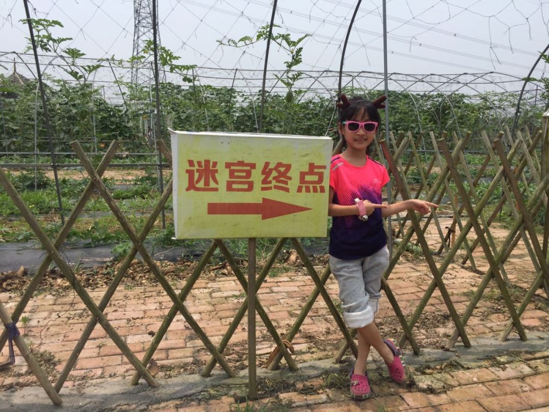 周末亲子游|不负初夏好时光,到开心农场寻找神奇瓜果蔬菜,花海畅游吧!