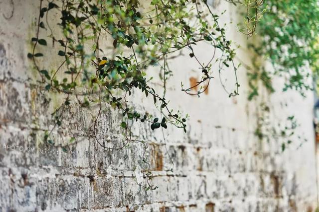 黄山最该去的无敌美古村落，游人寥寥，让宏村西递一边儿呆着去吧