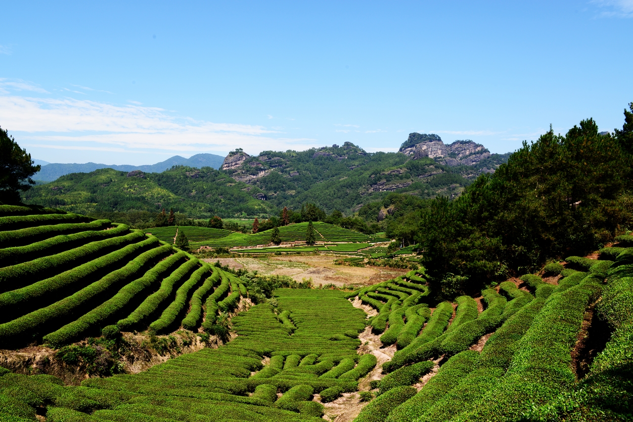 南平丽水gdp_丽水至南平铁路