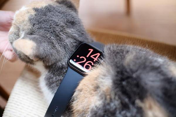 想玩一輩子 iPhone，還是改變本身？Apple Watch Series 4 體驗 科技 第14張