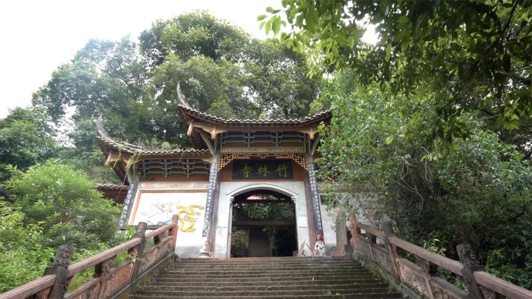 史料记载:竹林寺初建于东汉年间,始称净众寺,唐元和年间因寺周植竹林