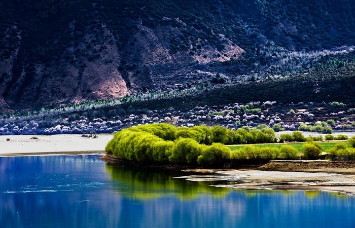 为什么叫老虎海 4819033073f14a0092fa0aa2e6443401.jpeg