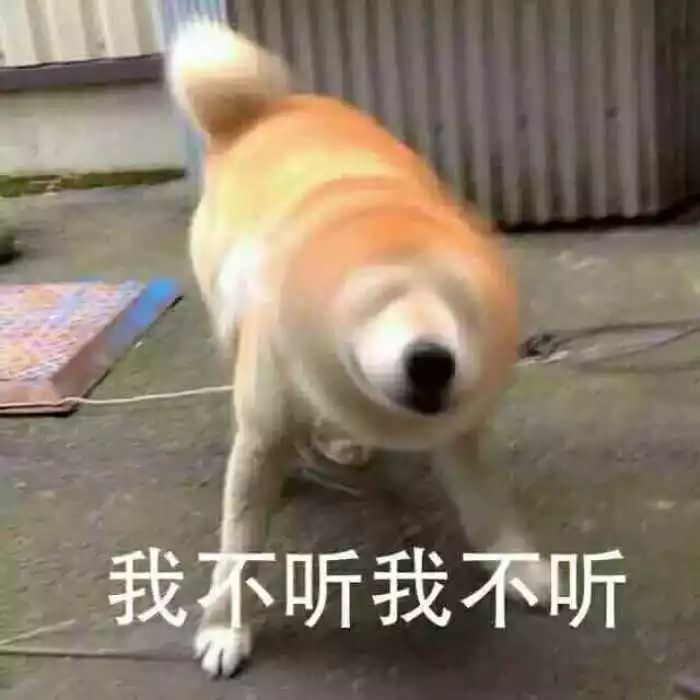 48b9dd4dcdac493cb4efc58ccc7606d9.jpeg