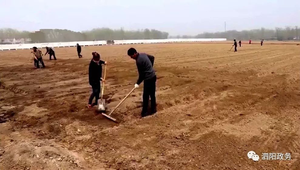 张家圩人口_泗阳张家圩潘庄小学