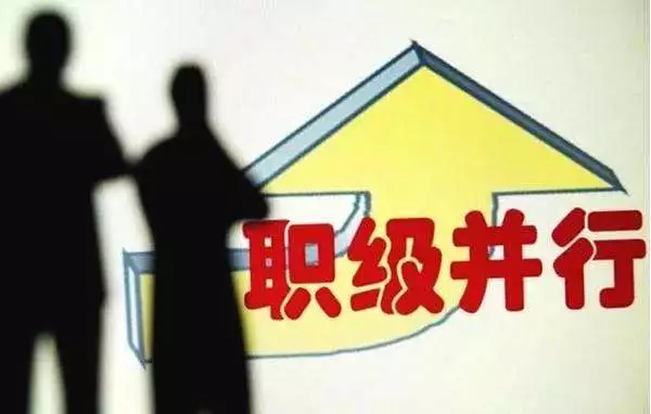 “公务员职务职级并行”,对现役和待转人群职业转型的影响 优博博e百娱乐城