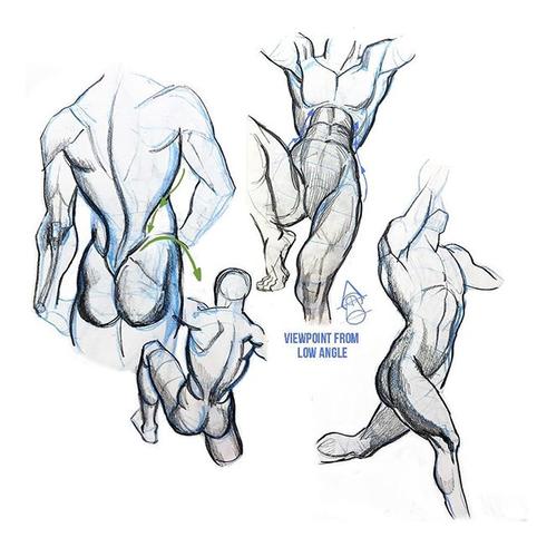 【画学反应】人体透视和结构牛人,还有她!(Ka