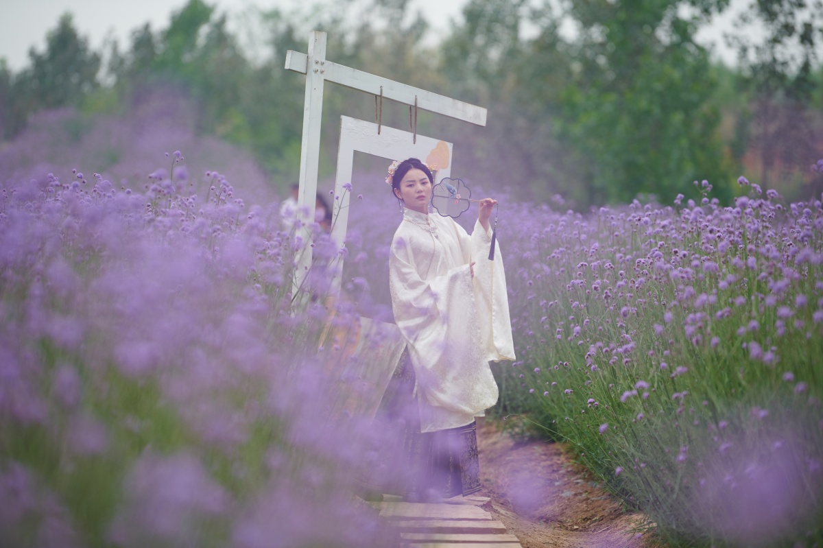 八位摄影师和一群汉服花仙子,带你穿越花海欣赏古风之