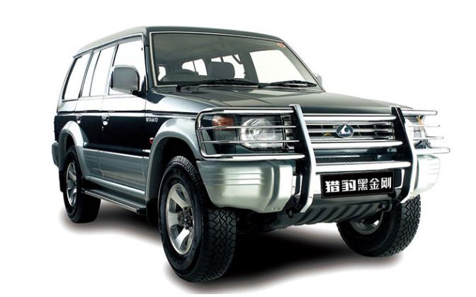 猎豹排名_猎豹简笔画(2)