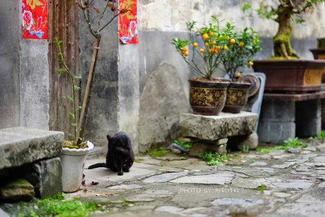 黄山最该去的无敌美古村落，游人寥寥，让宏村西递一边儿呆着去吧