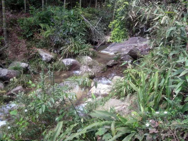 哪里有小溪钓鱼的地方 6463e48d8b88448581da58ddeb3c225e.jpeg