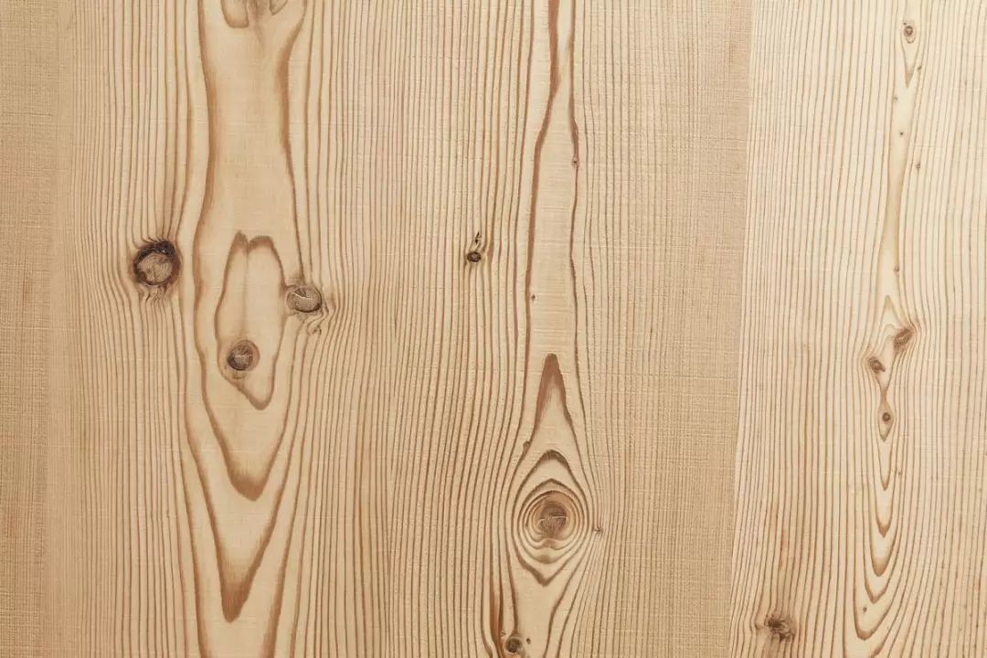 松木(pine)
