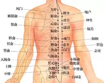 为什么要在背部拔罐,90%的人不知道!