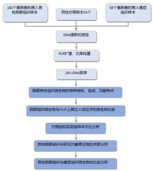 科研丨肺部微生物表征及其与流行病临床特征的关系