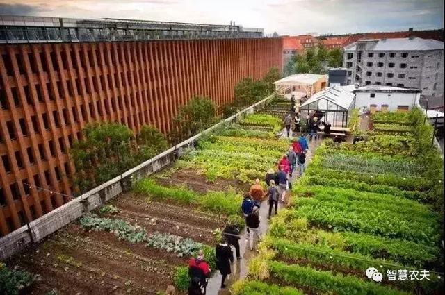 8433019c90f94e629b4edfc40afb7489.jpeg
