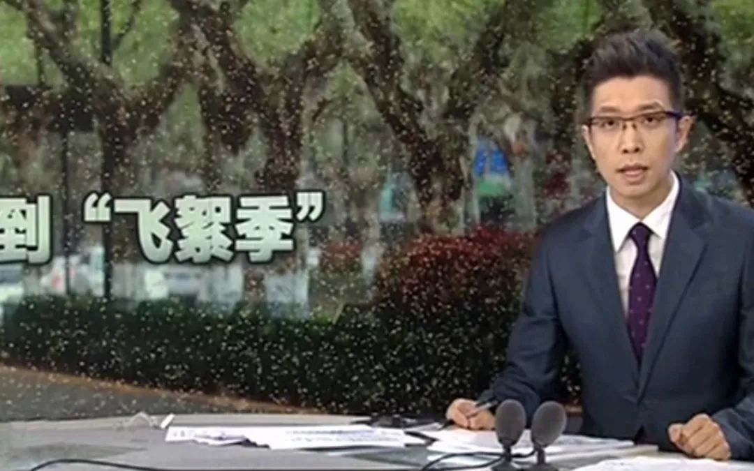 新闻联播里康辉的播报“火了”，亚洲各国新闻主播哪家强？
