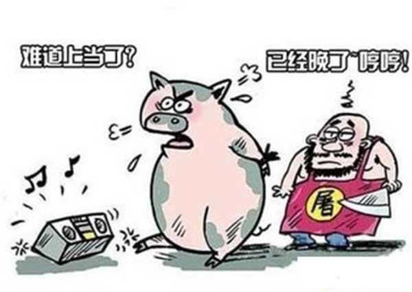 点击进入看图评论 汽车托运费