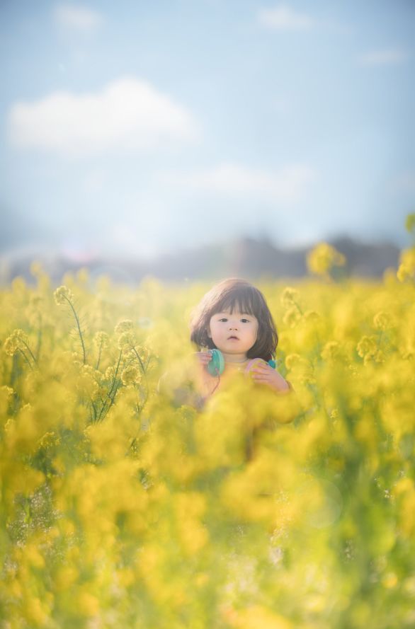 日本一老爸“偷拍”儿女照片火遍朋友圈，暖哭无数人