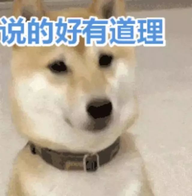 比单身贵族更靠谱的男朋友就是他!