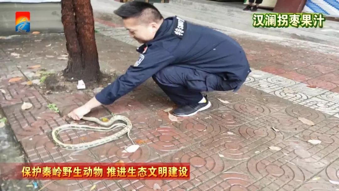 汉阴县有多少人口_汉阴县有几个洒店(2)