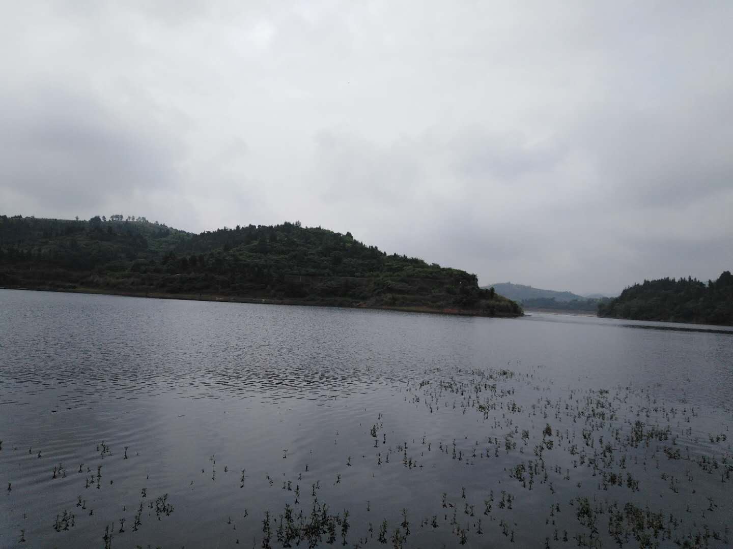 蜈蚣吐珠地,发丁发贵!风水道先生_水库