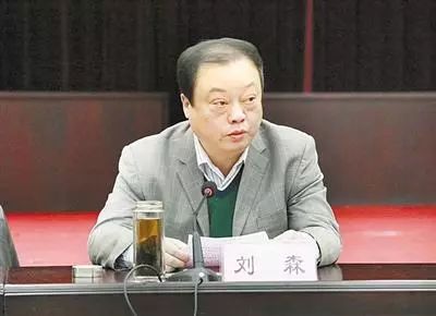 2001年,刘森调任长垣县县长,后任县委书记,主政长垣县达10年,并于2007