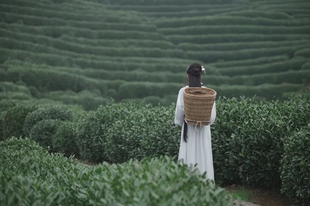 山野简谱_山野幽居简谱(3)