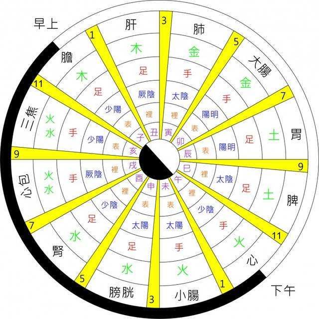 被人体排毒时间表骗了这么多年,没想到,背后的真相竟是.