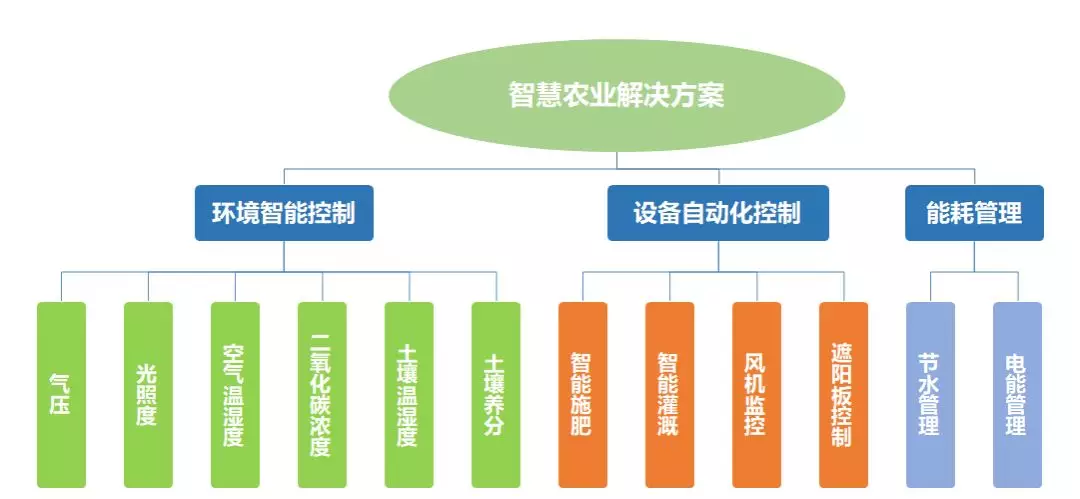 我国农业人口占_我国老年人口占比2021(3)